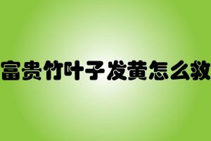 easy Login  ERGO